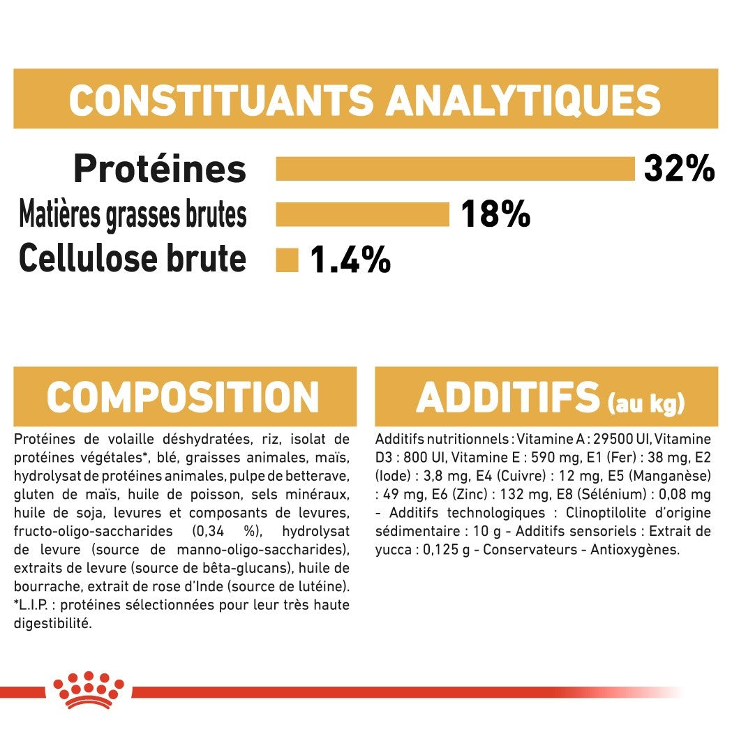 Royal Canin Jack Russell Puppy - Croquettes pour chiot