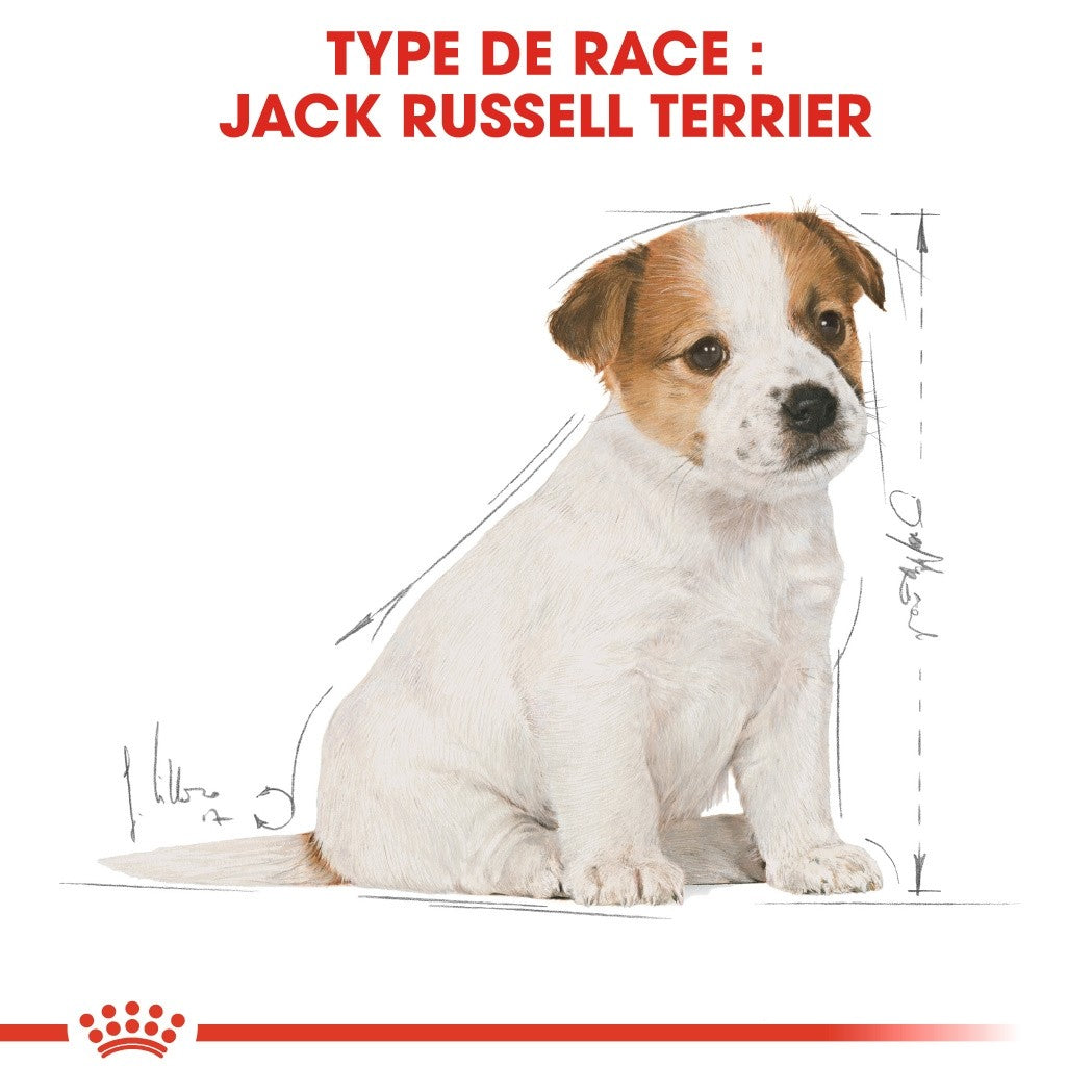 Royal Canin Jack Russell Puppy - Croquettes pour chiot