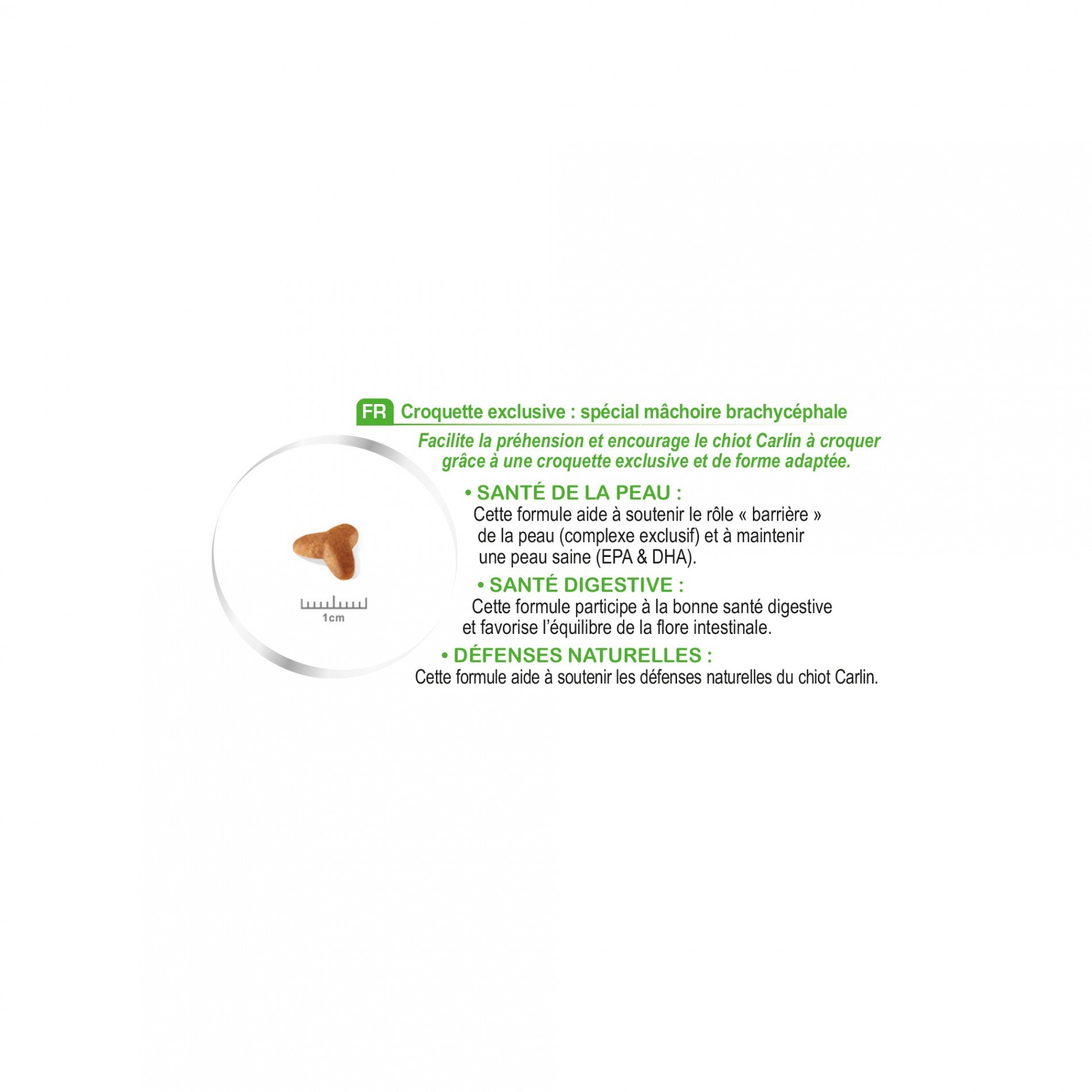 Royal Canin Carlin Puppy (Pug)