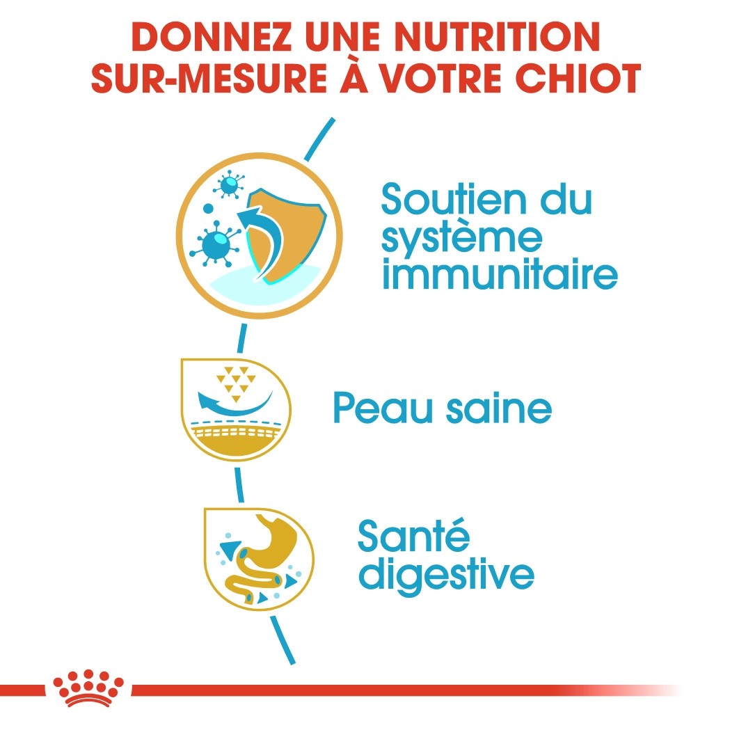 Royal Canin Carlin Puppy (Pug)