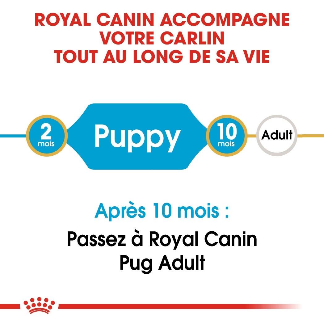 Royal Canin Carlin Puppy (Pug)