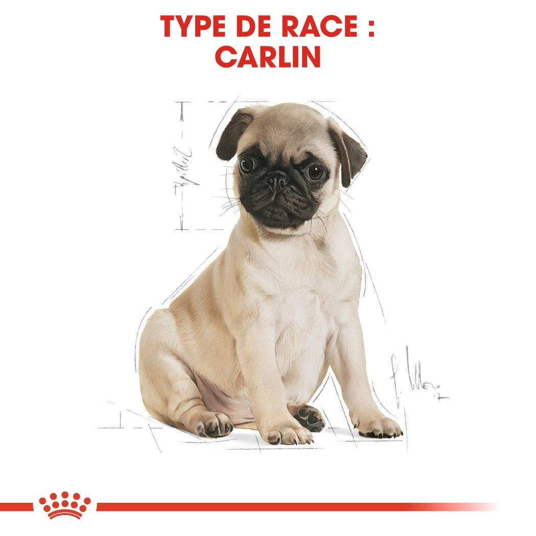 Royal Canin Carlin Puppy (Pug)