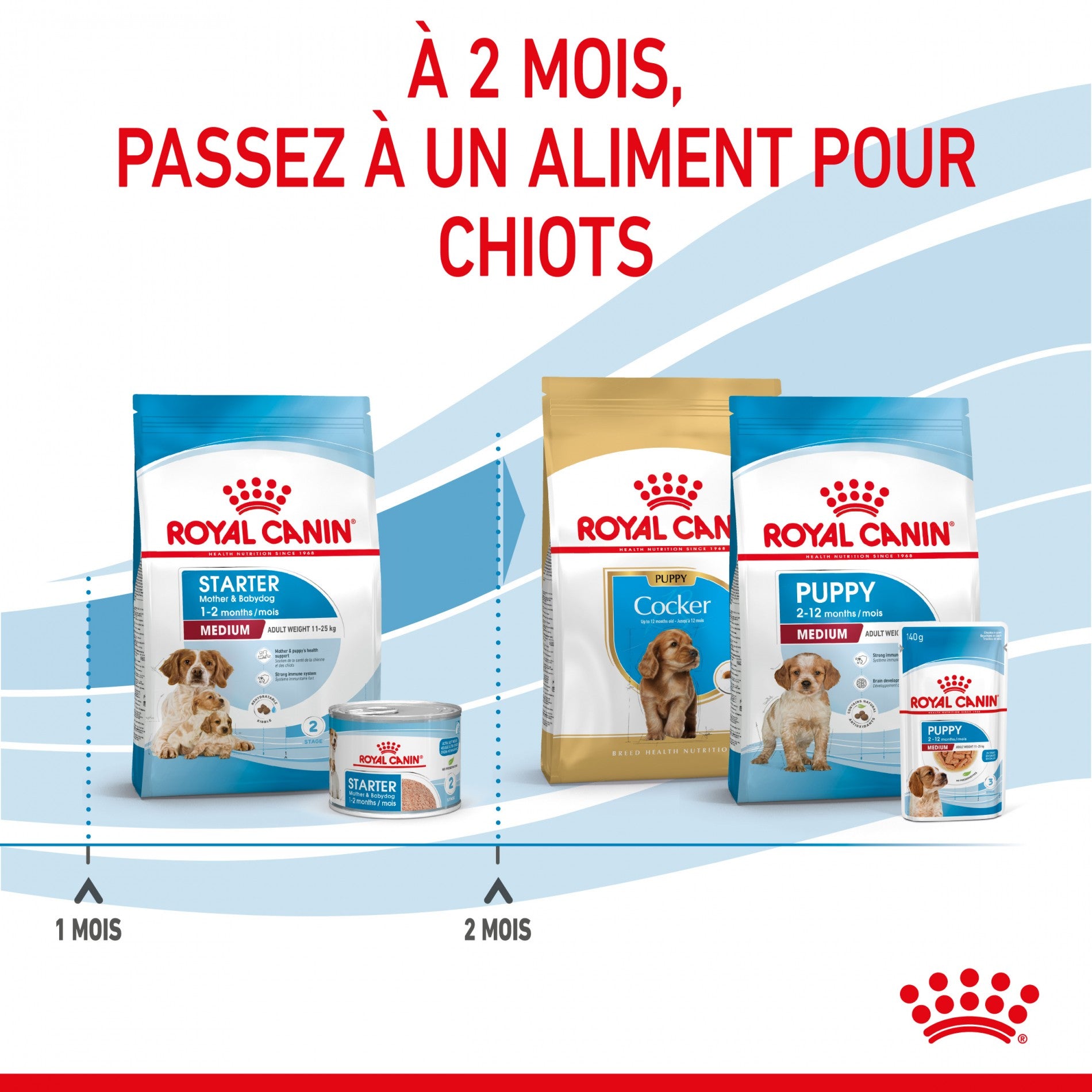 Royal Canin Medium Starter
