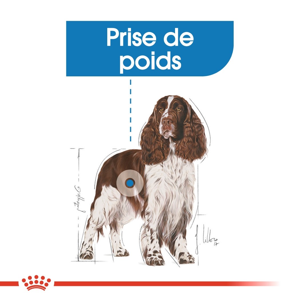 Royal Canin Medium Light Weight Care - Croquettes pour chien