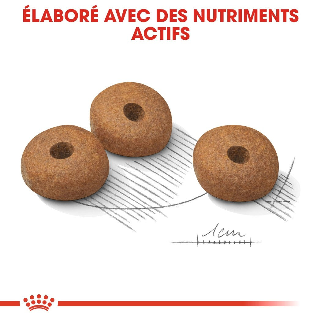 Royal Canin Medium Light Weight Care - Croquettes pour chien