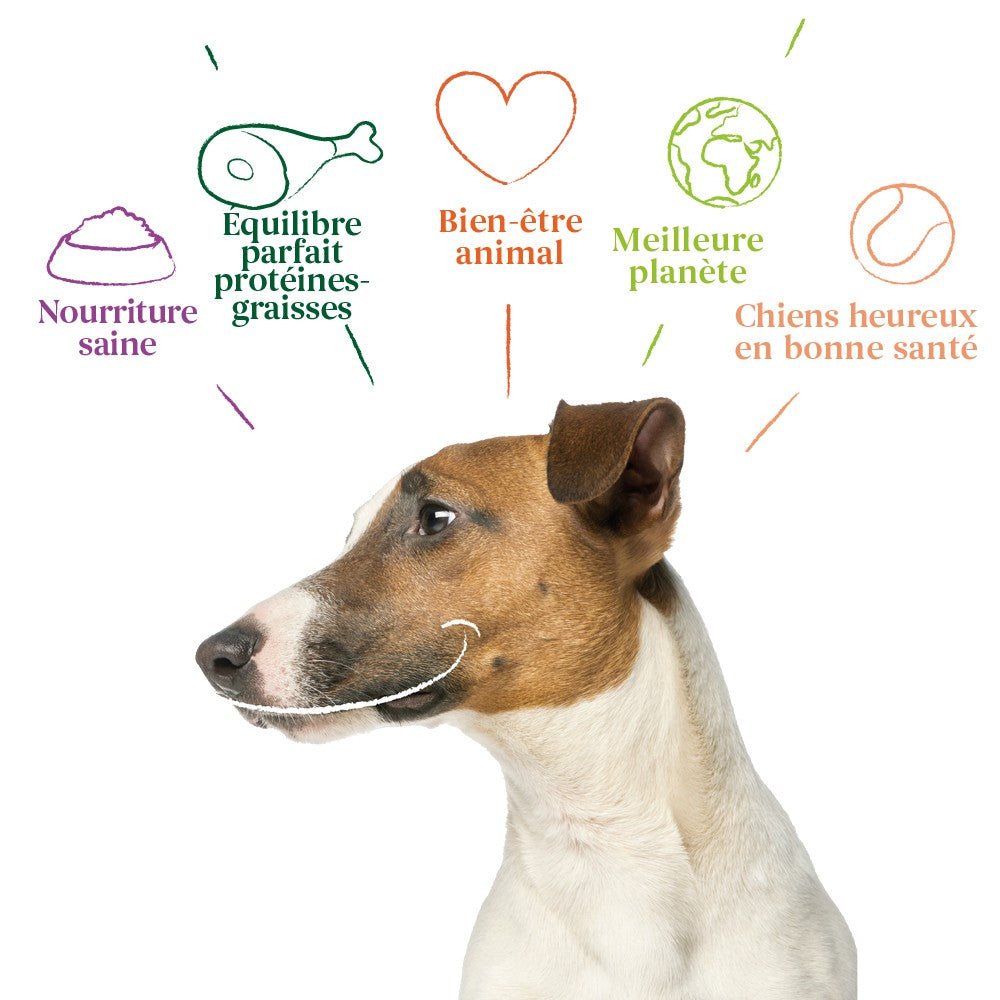 Yarrah croquettes bio pour chien de petite race