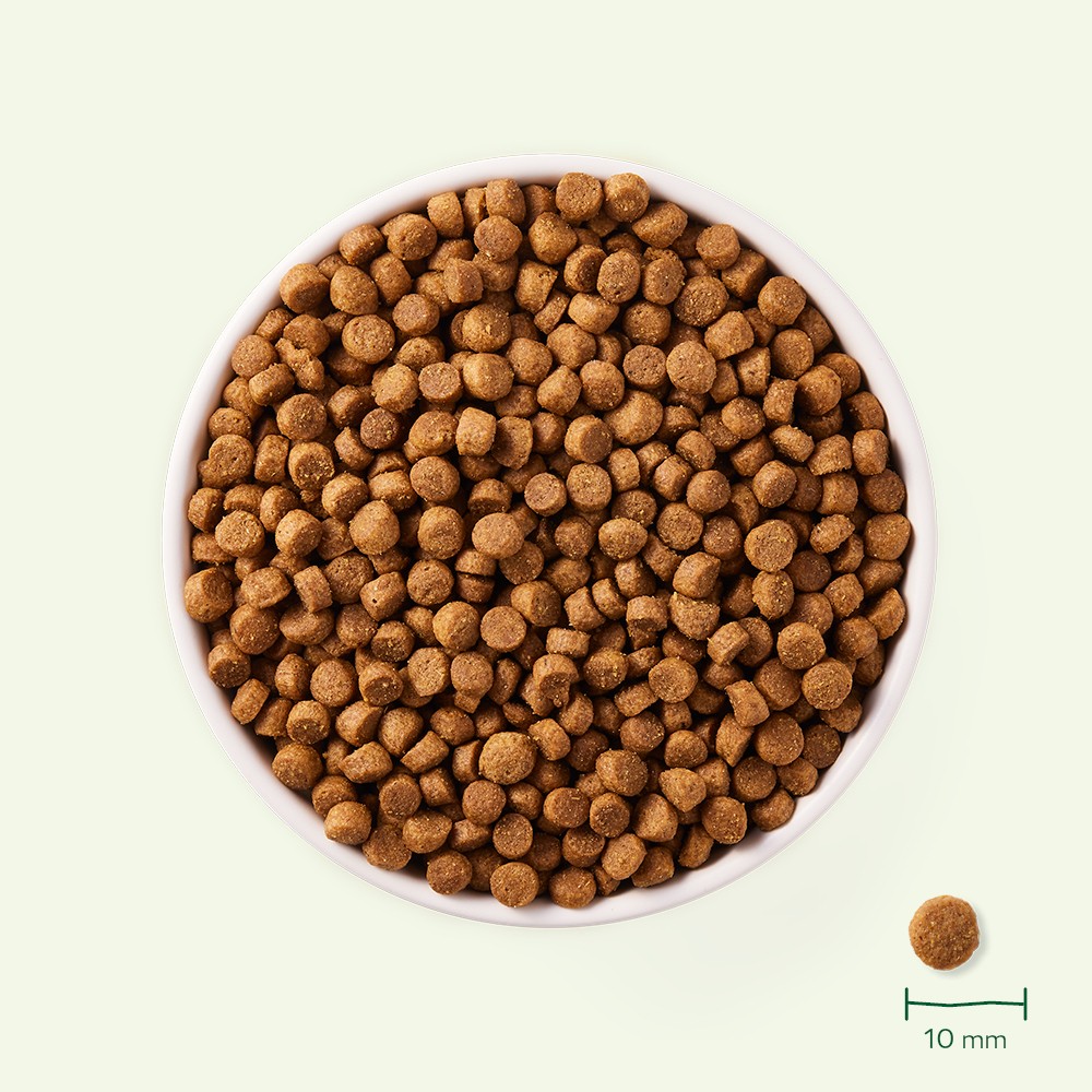 Yarrah croquettes bio pour chien de petite race