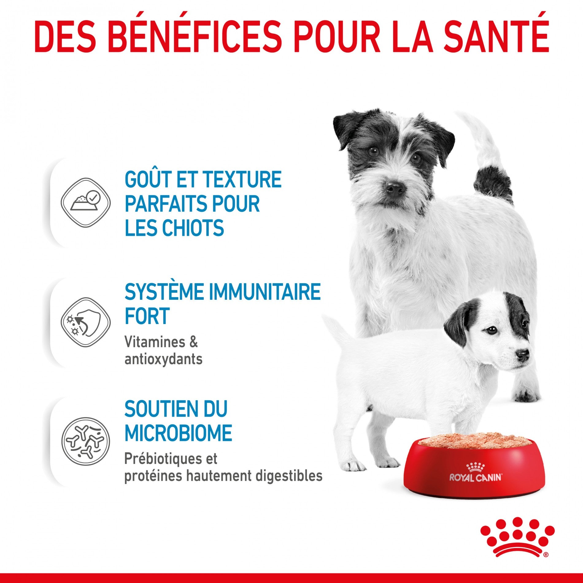 Royal Canin Starter Mother & Babydog - Pâtée pour chiot