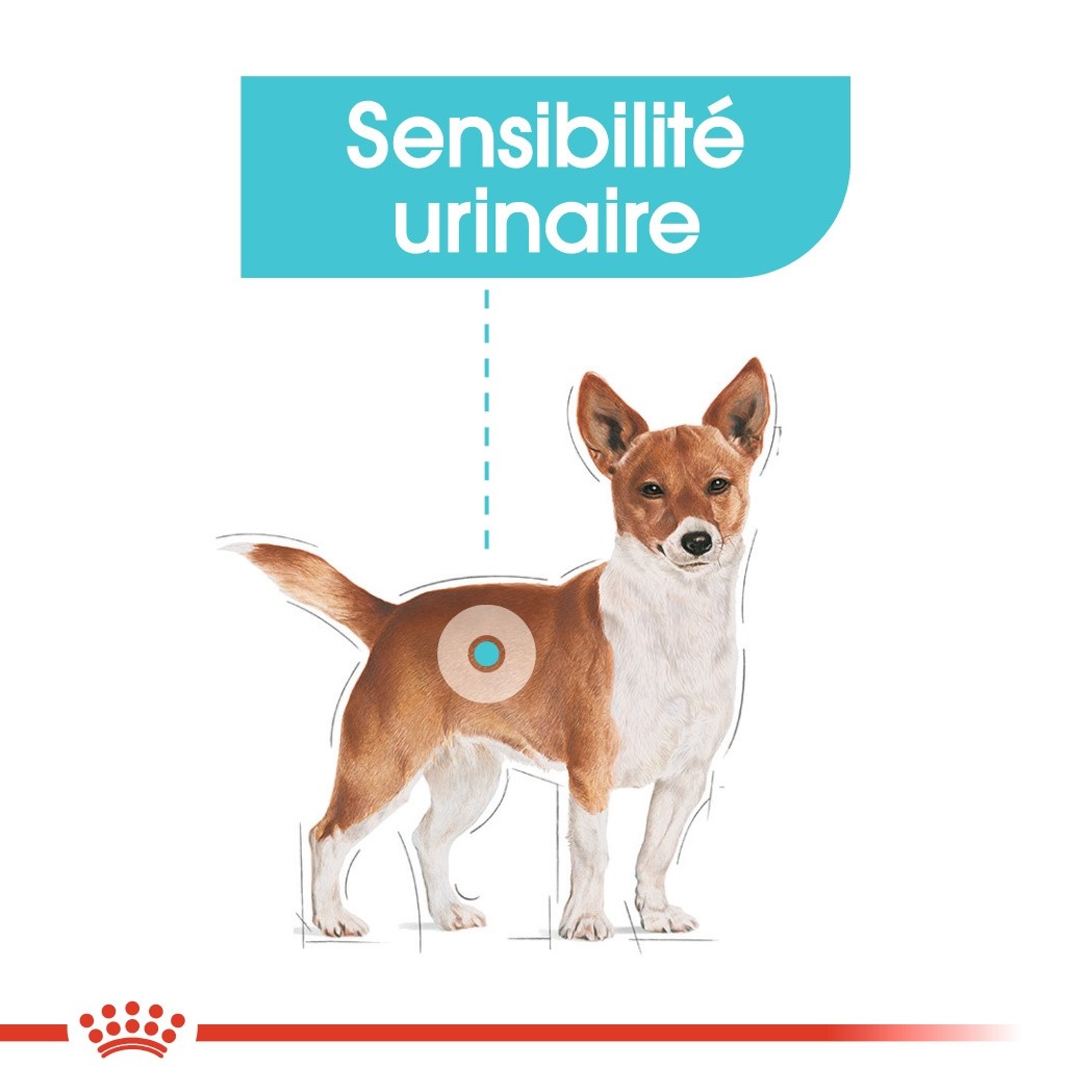 Royal Canin Urinary Care - Pâtée pour chien
