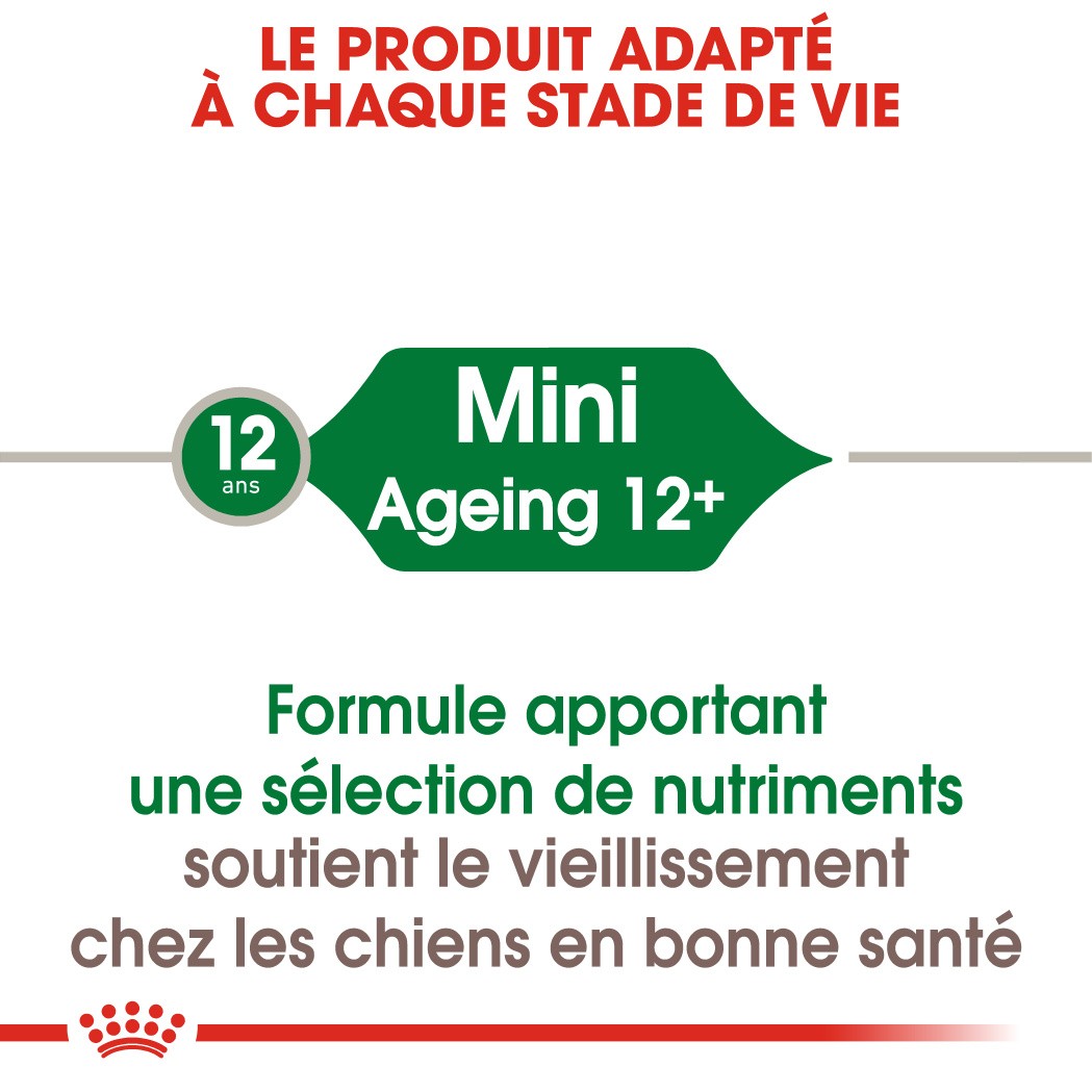 Royal Canin Mini Ageing 12 - Pâtée pour chien