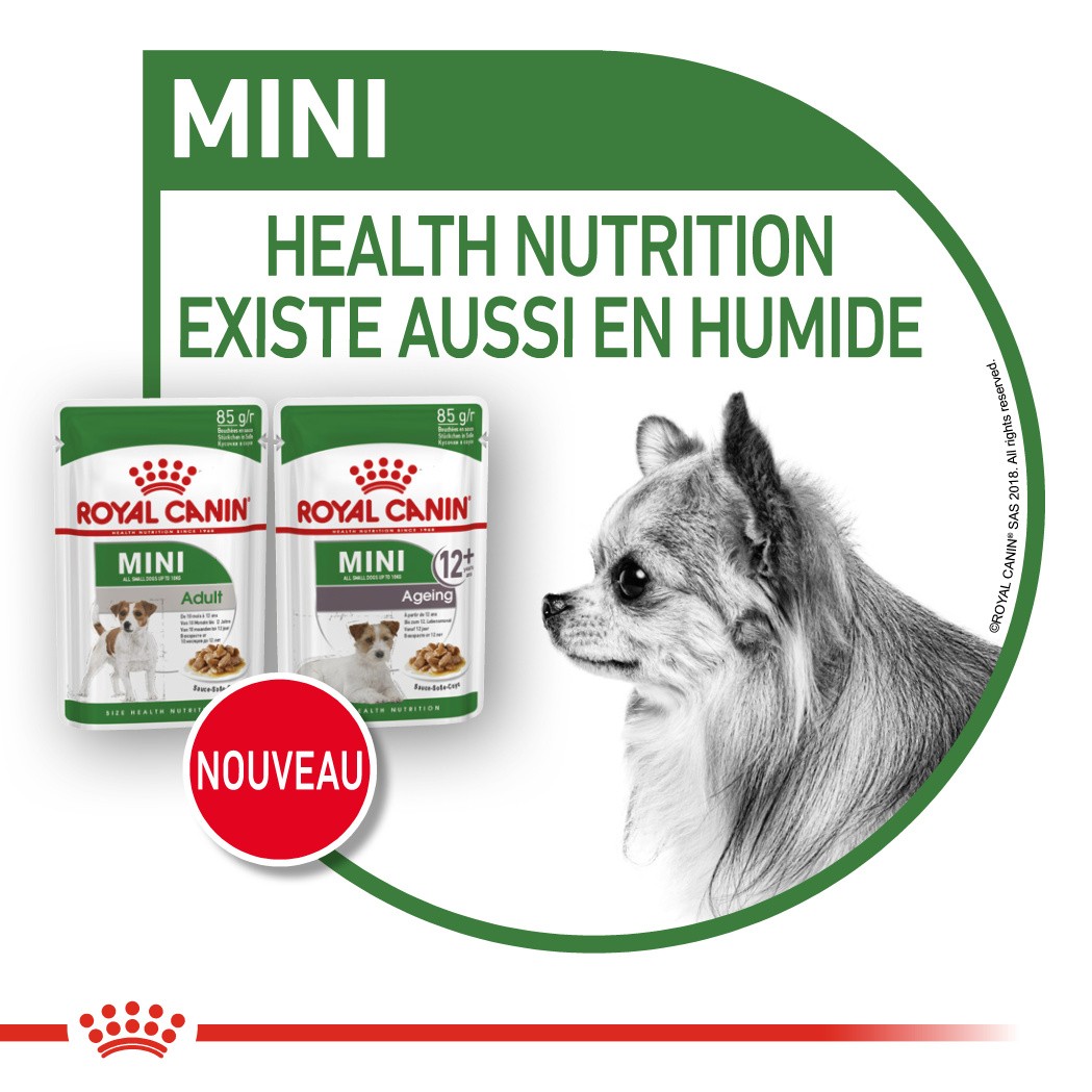 Royal Canin Mini Ageing 12 - Pâtée pour chien