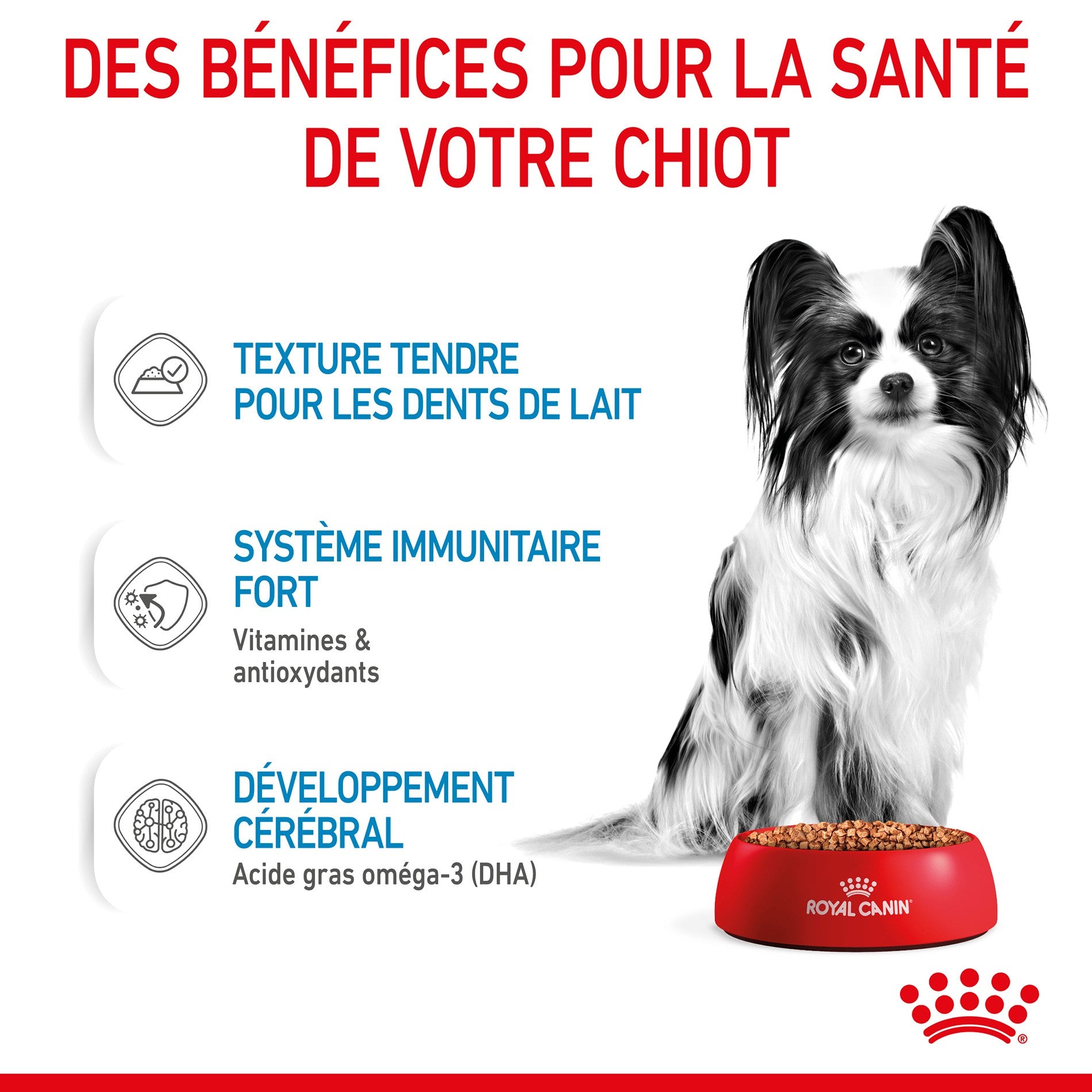 ROYAL CANIN X-Small Puppy en Sauce - Pâtée pour chiot