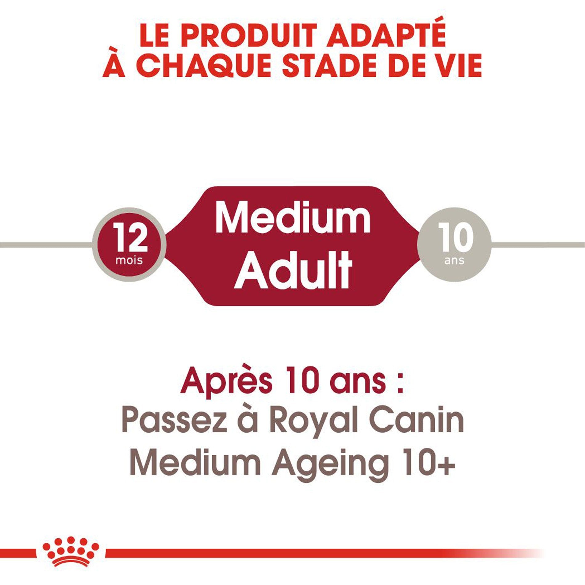 ROYAL CANIN Medium Adult en Sauce - Pâtée pour chien