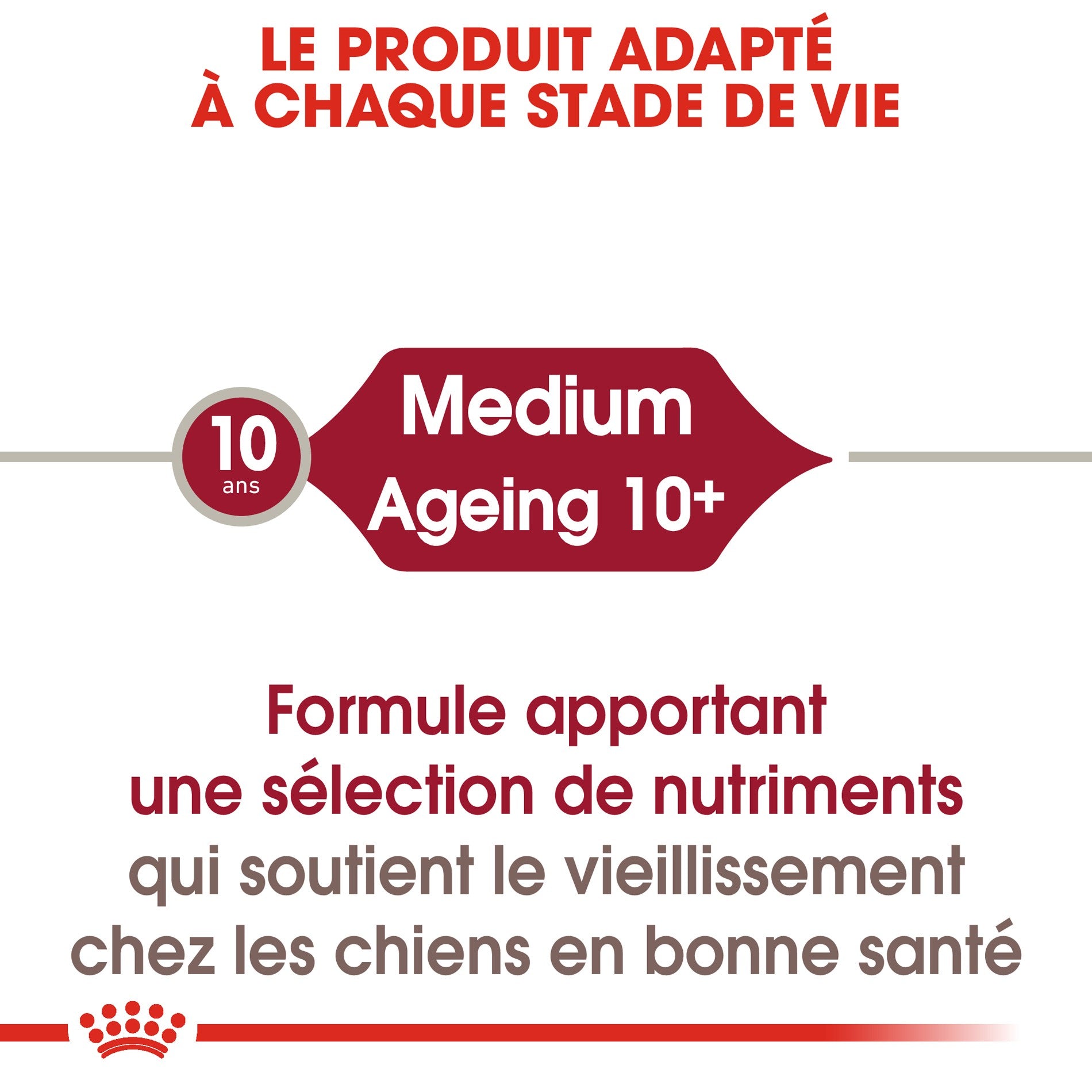ROYAL CANIN Medium Ageing 10+ en Sauce - Pâtée pour chien