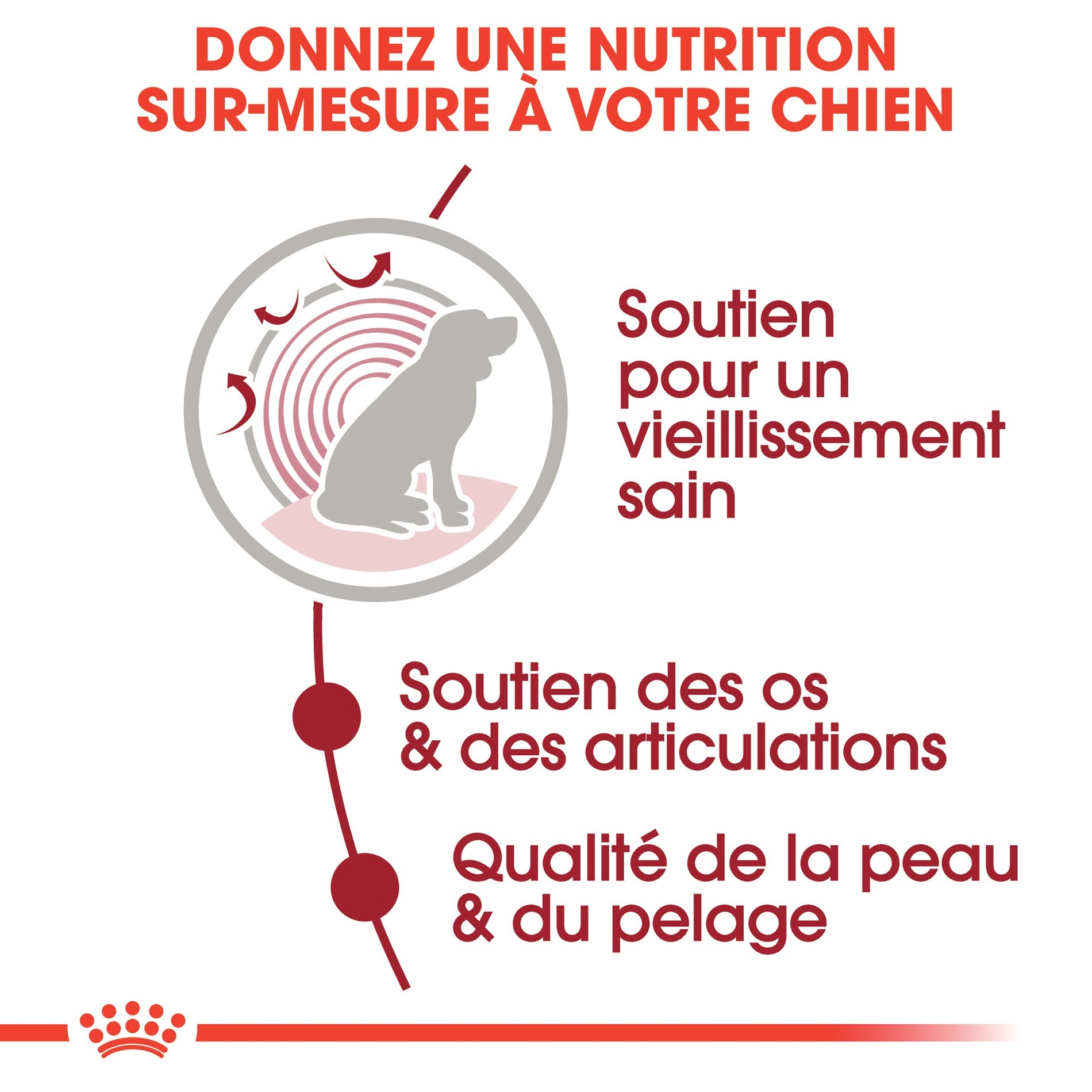 ROYAL CANIN Medium Ageing 10+ en Sauce - Pâtée pour chien
