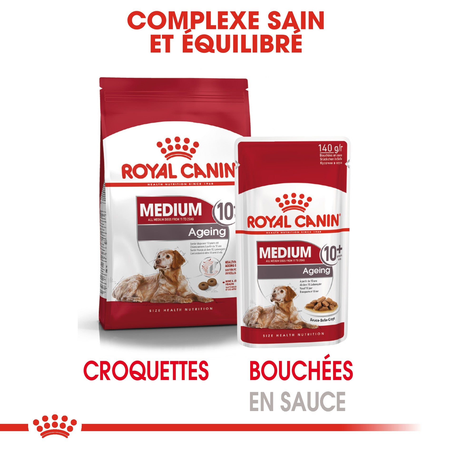 ROYAL CANIN Medium Ageing 10+ en Sauce - Pâtée pour chien