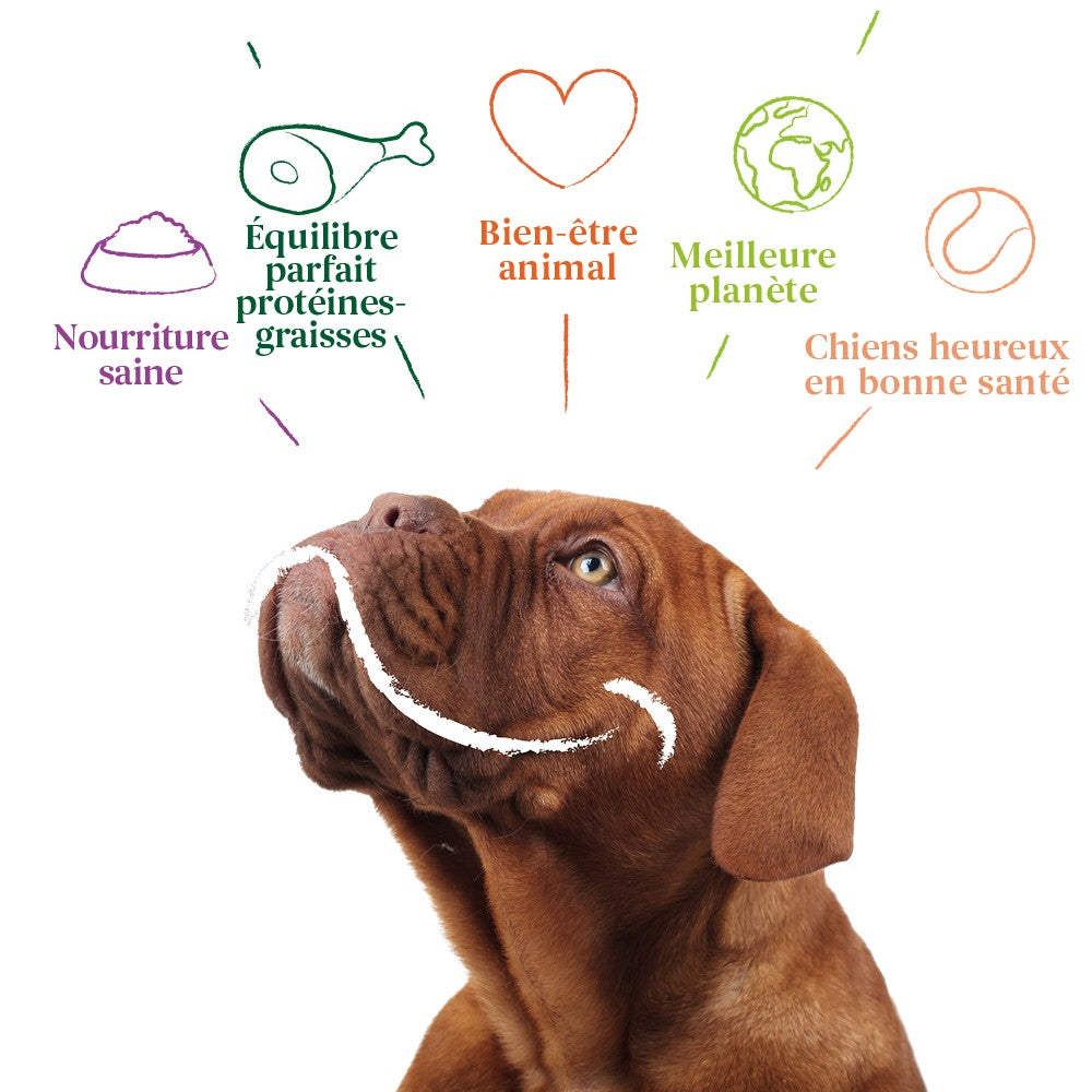 Yarrah bouchées bio Chien - Lot 12 x 405 g