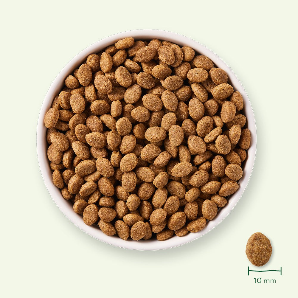 Yarrah croquettes bio pour chien senior