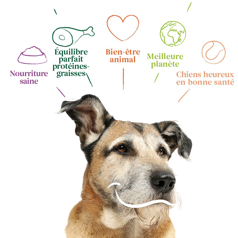 Yarrah croquettes bio pour chien senior