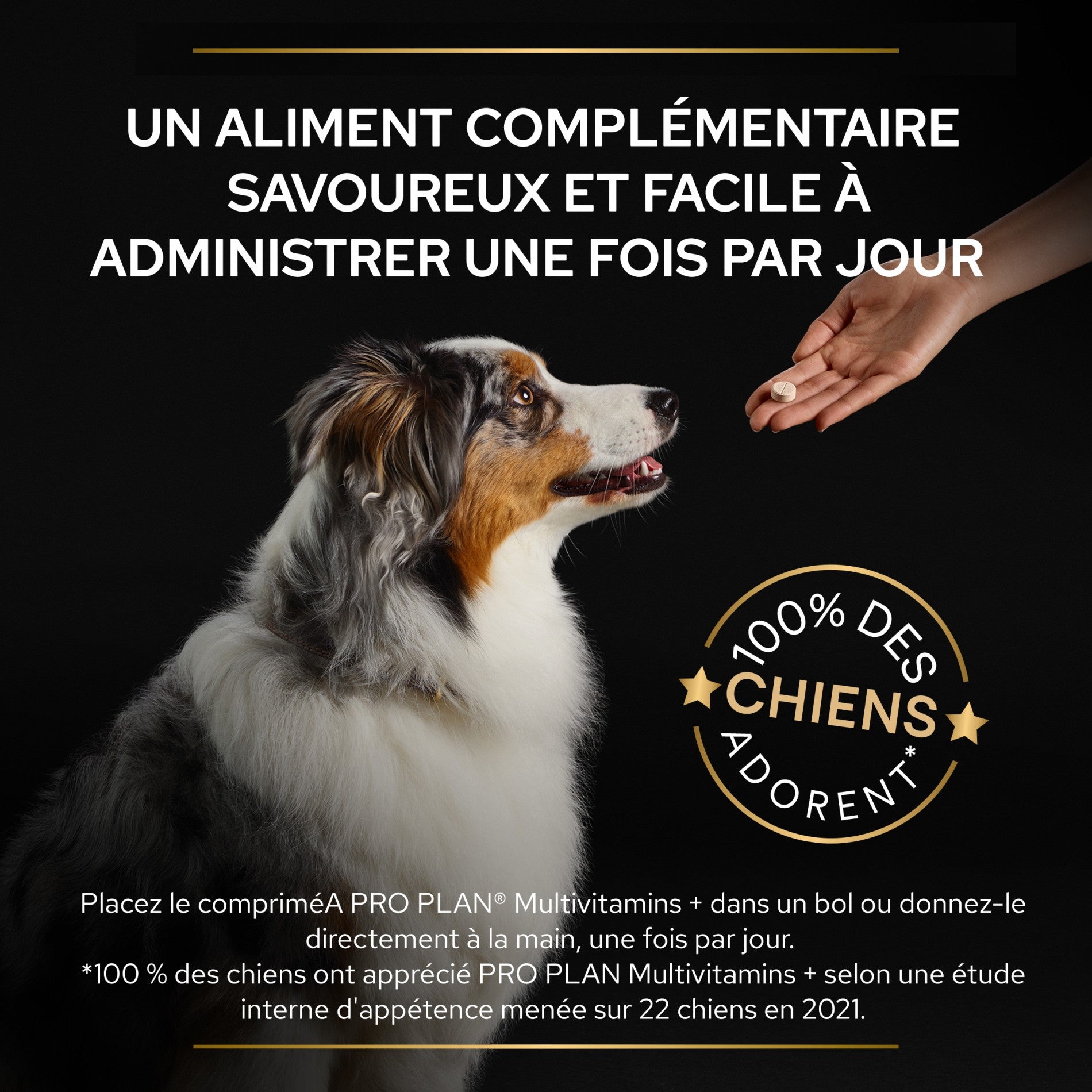 PRO PLAN Multi Vitamins+ en comprimés - Aliment complémentaire pour chien