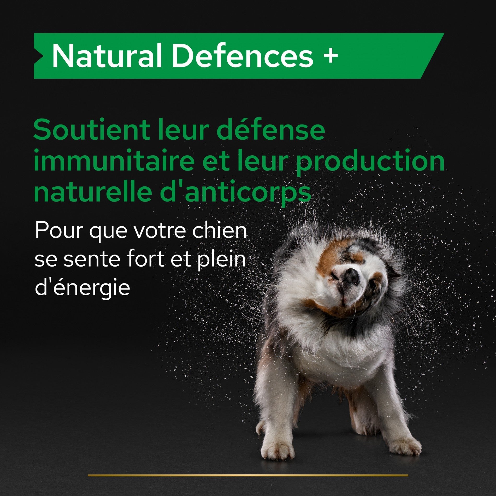 PRO PLAN® Natural Defenses+ en comprimés - Aliment complémentaire pour chien