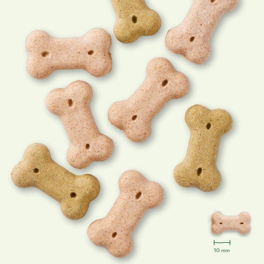 Yarrah biscuits bio végétarien pour petit chien