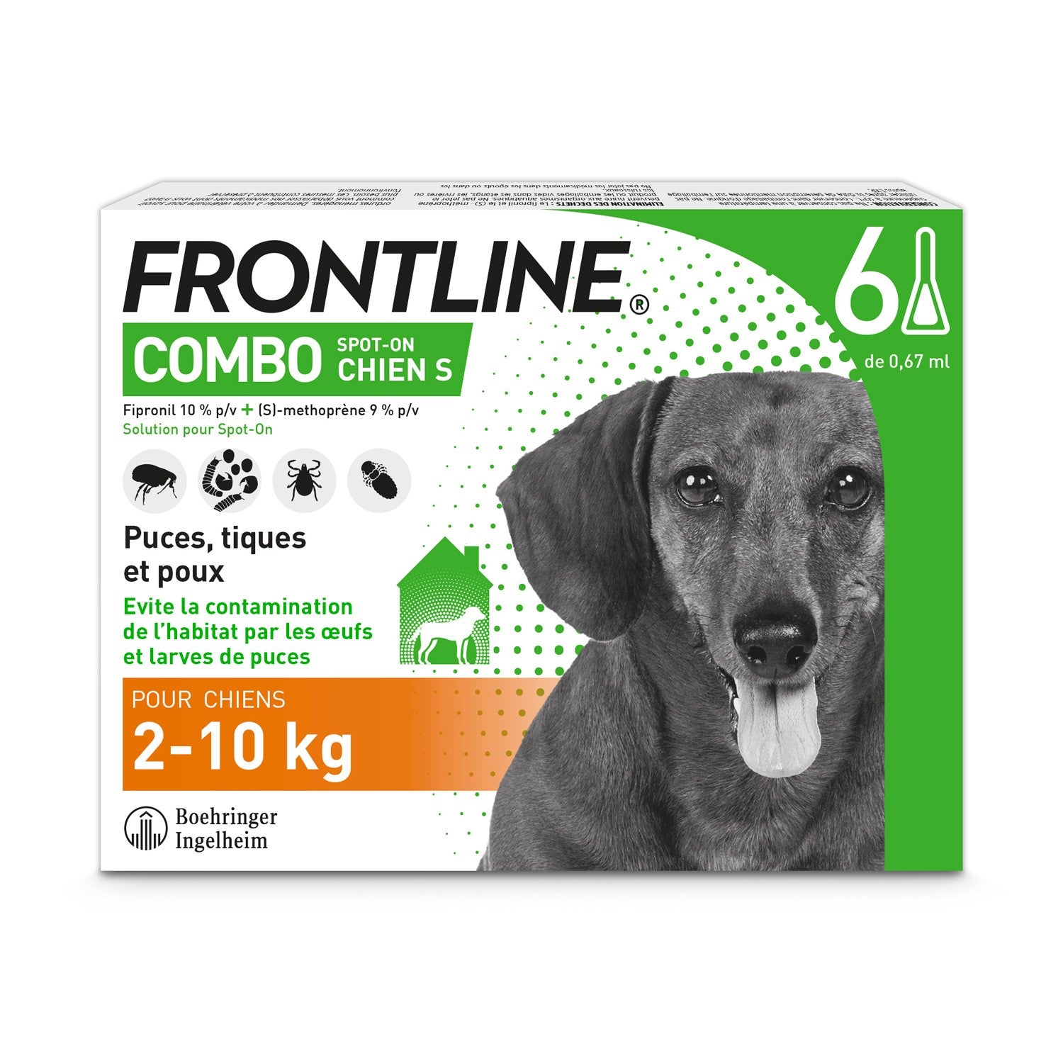 Frontline Combo Chien