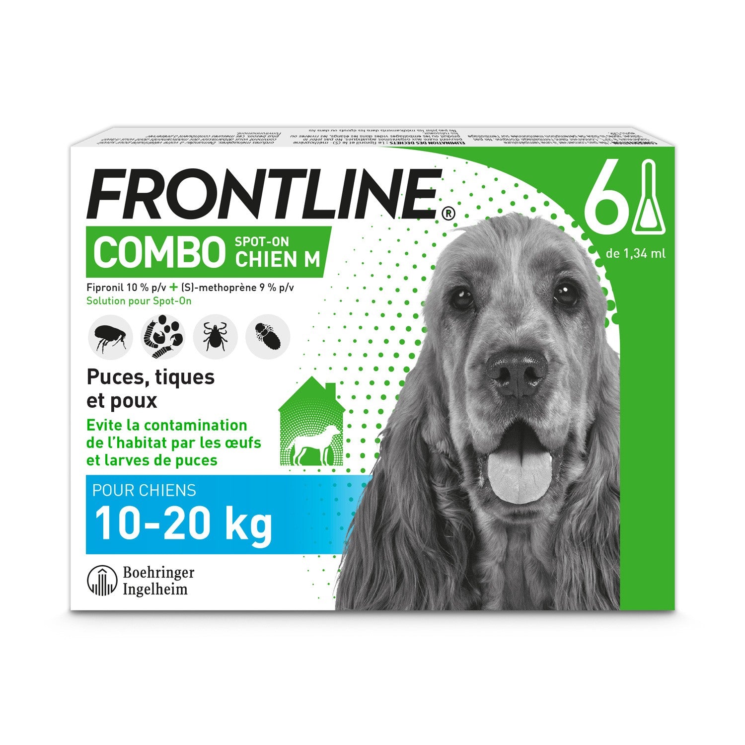 Frontline Combo Chien