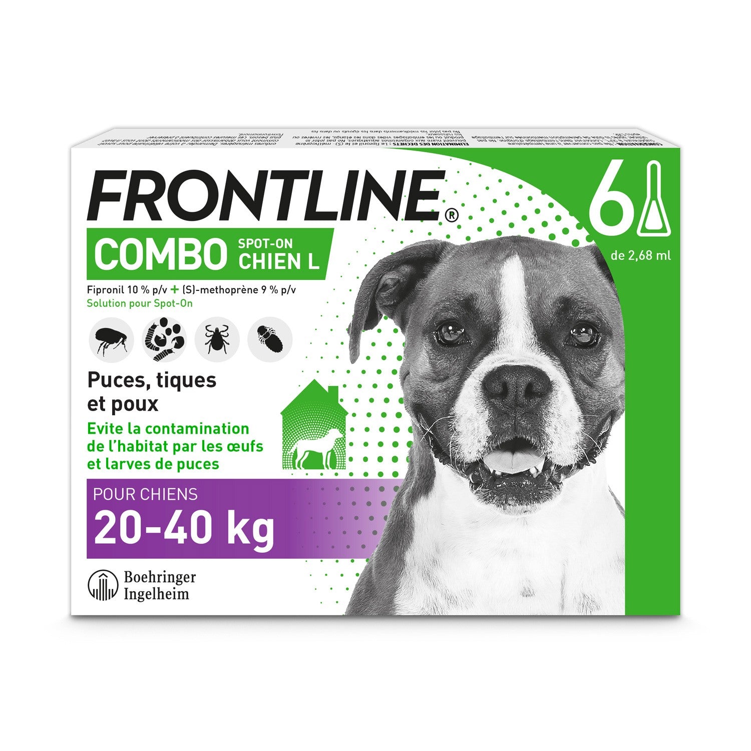 Frontline Combo Chien