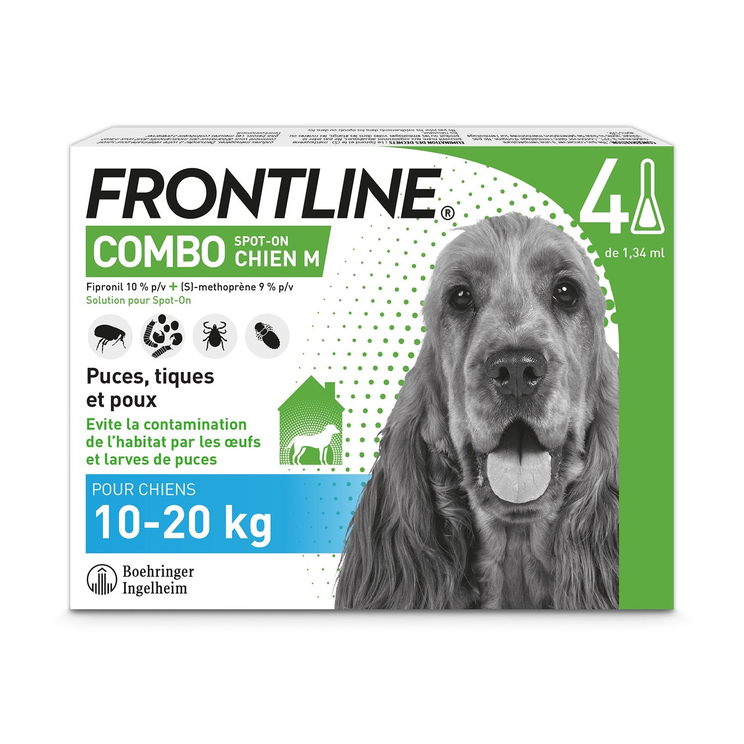 Frontline Combo Chien