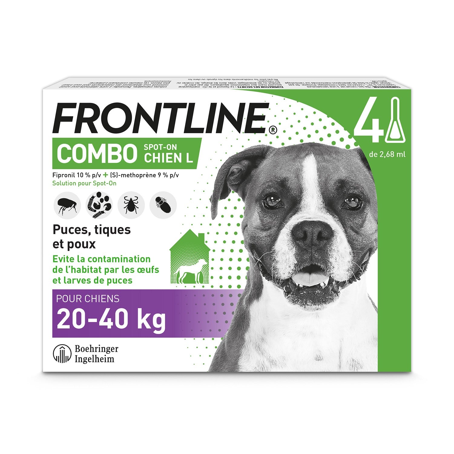 Frontline Combo Chien