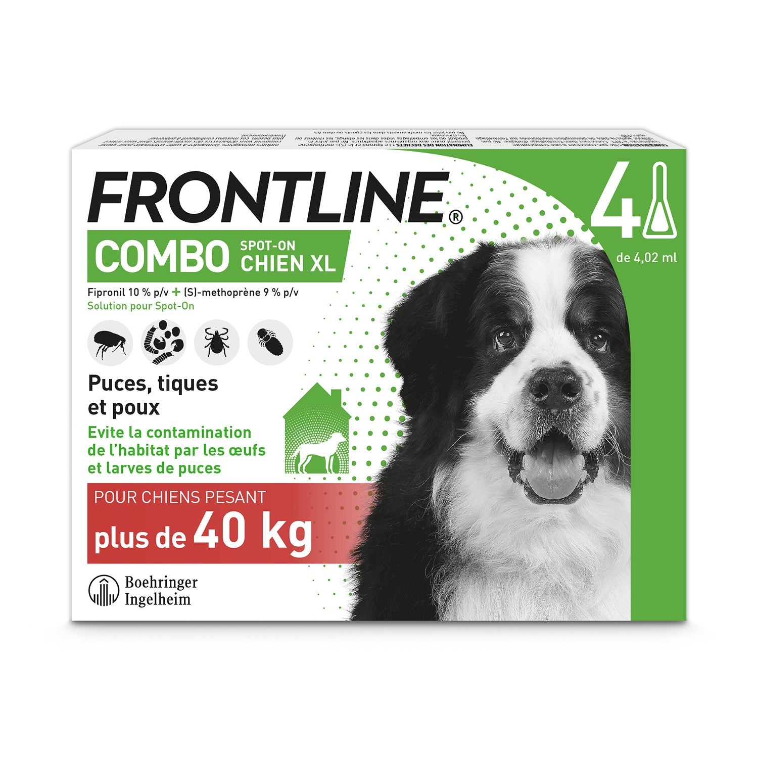 Frontline Combo Chien