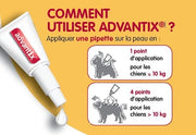 Pipettes Advantix chien