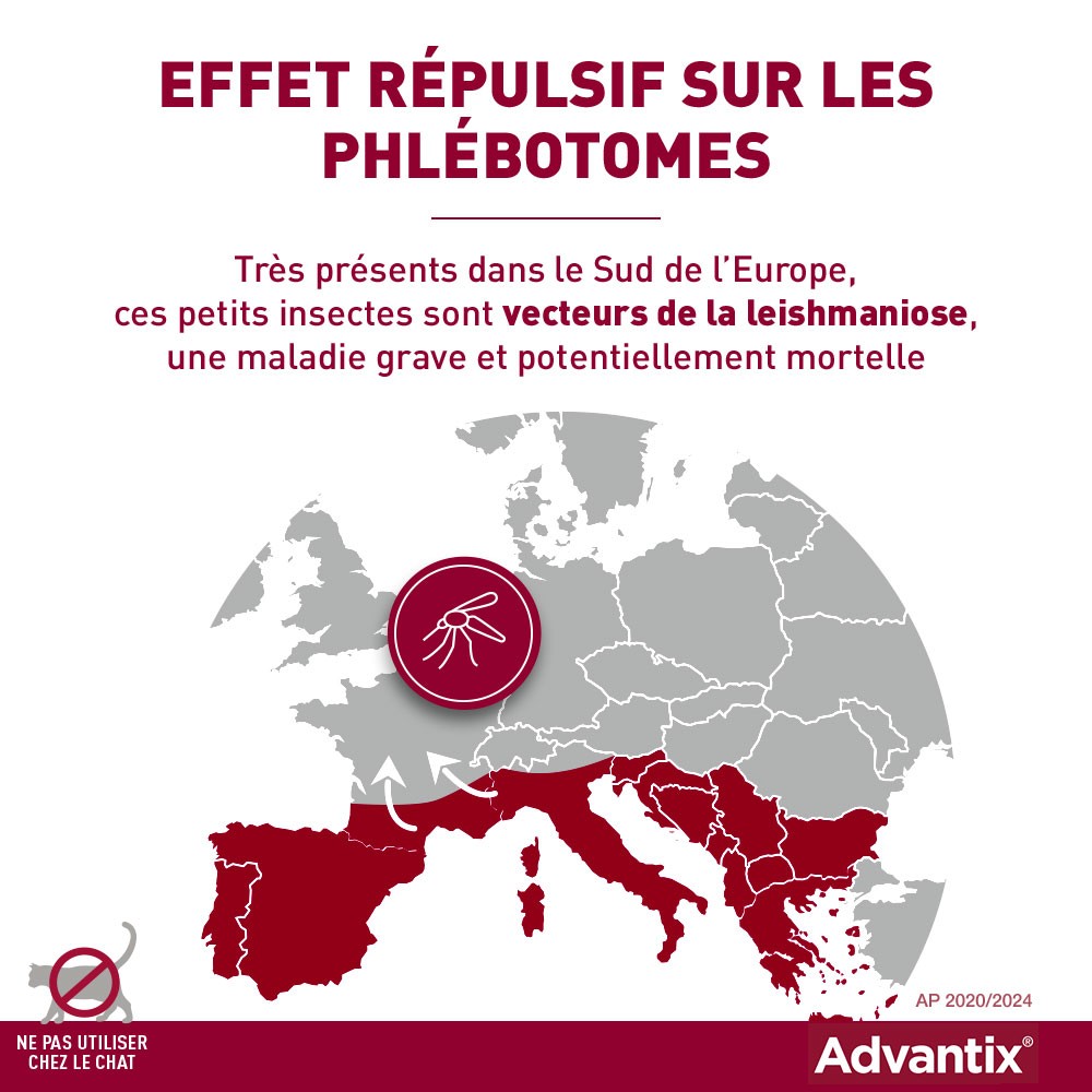 Pipettes Advantix chien