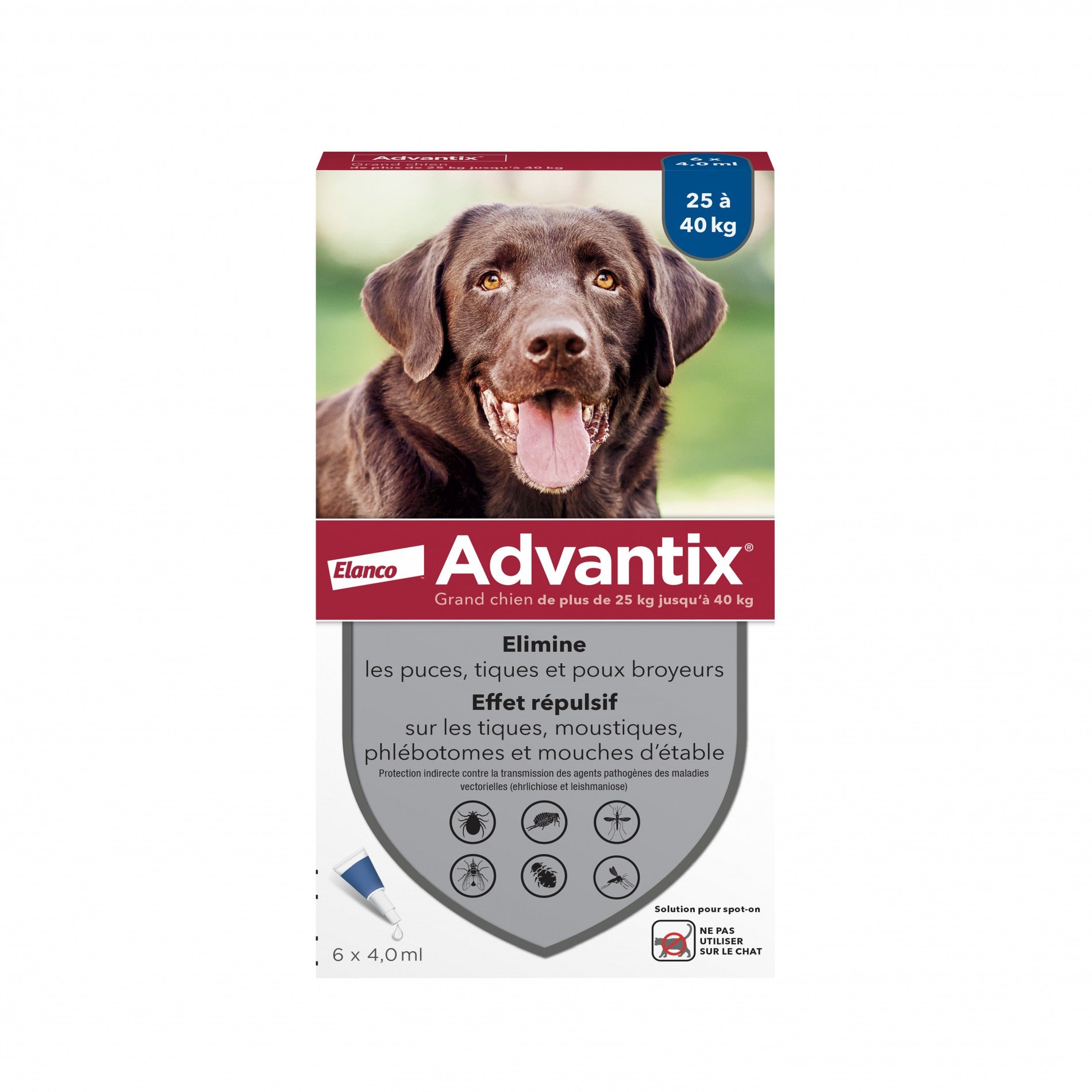 Pipettes Advantix chien