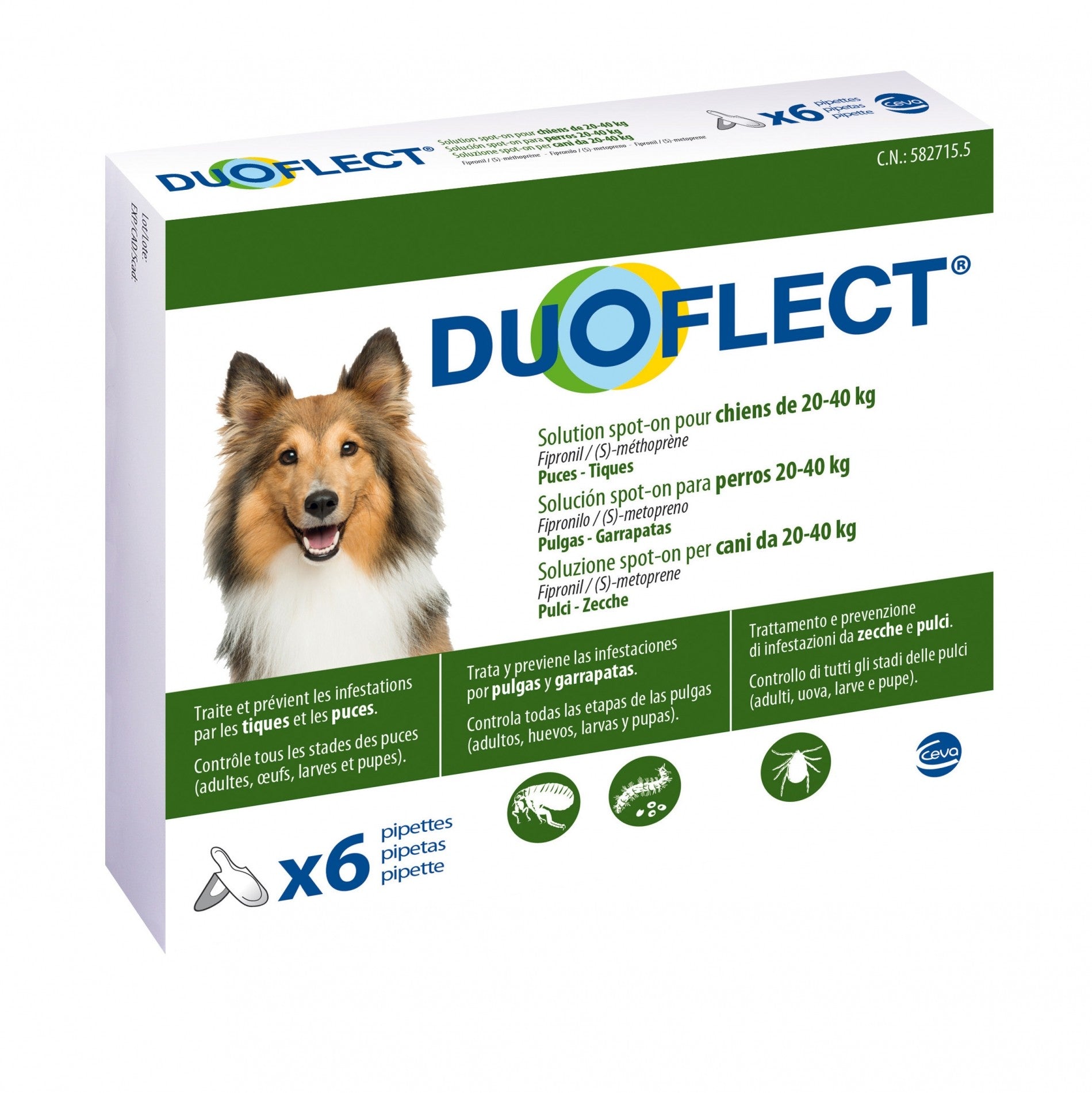Pipettes Duoflect chien