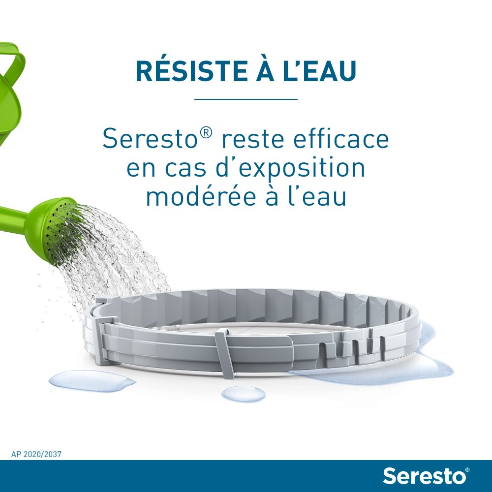 Collier antiparasitaire Seresto chien