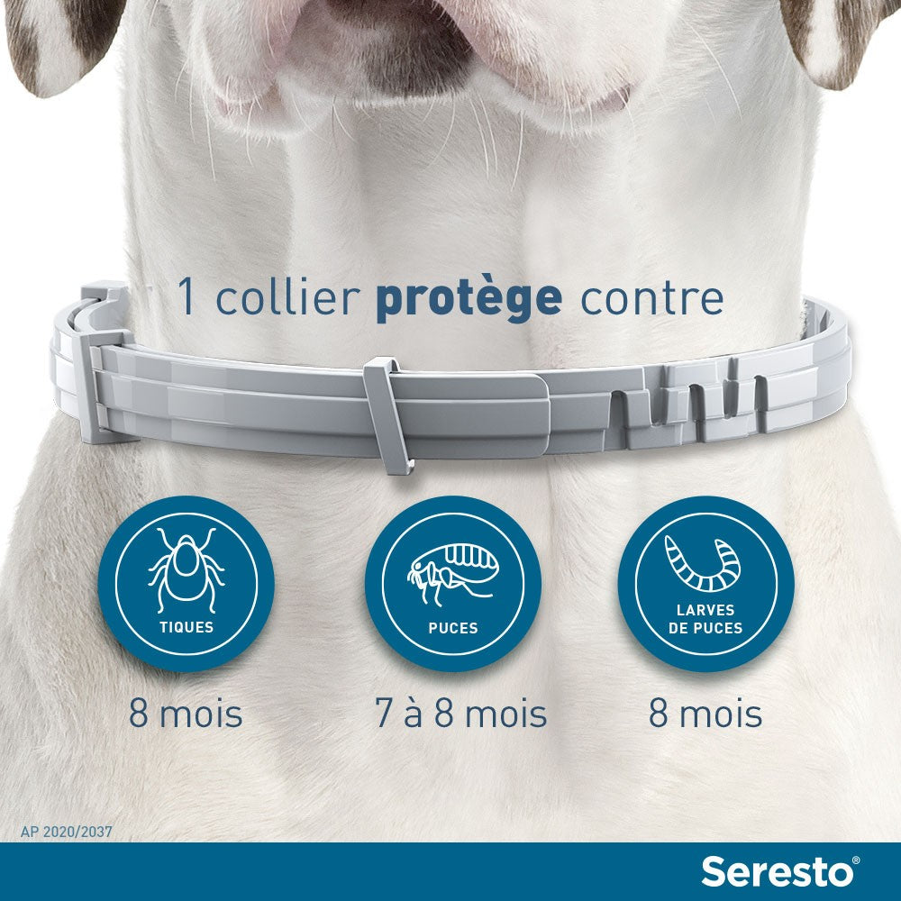 Collier antiparasitaire Seresto chien
