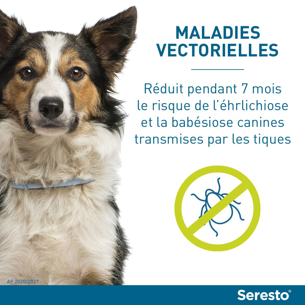 Collier antiparasitaire Seresto chien