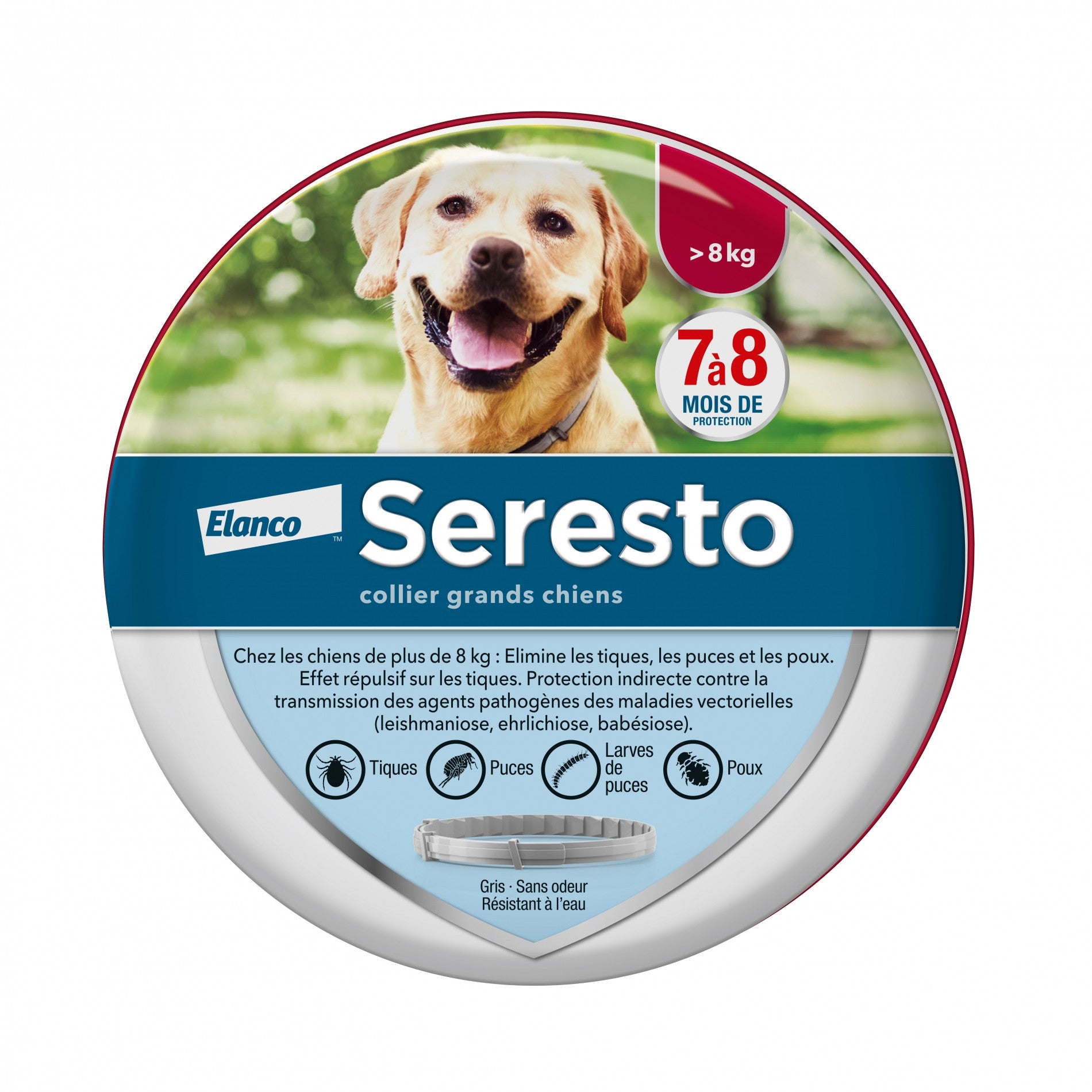 Collier antiparasitaire Seresto chien