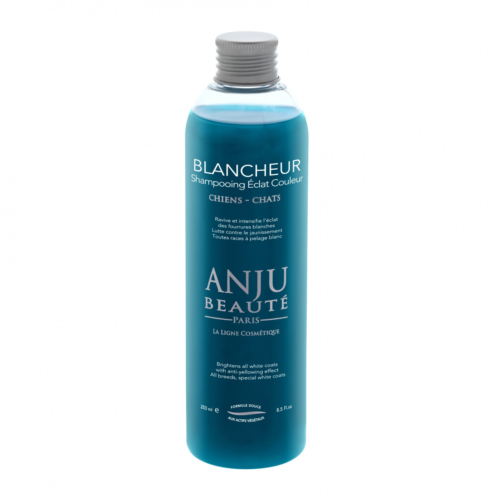 Shampooing éclat couleur Blancheur
