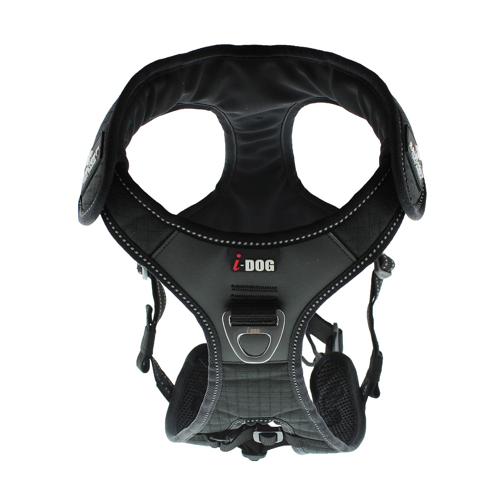 Harnais de traction Raidlight