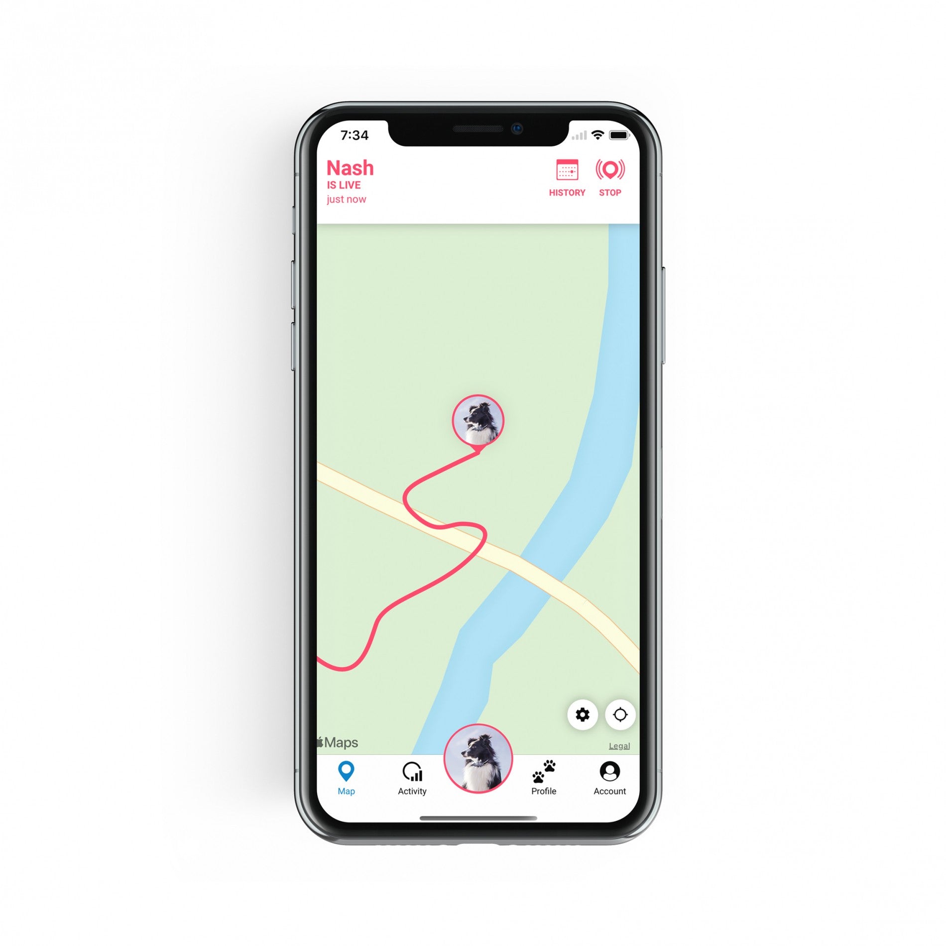 Traceur GPS 4 pour chien