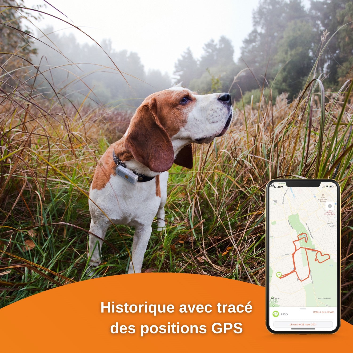 Traceur GPS Dogs 2 en temps réel
