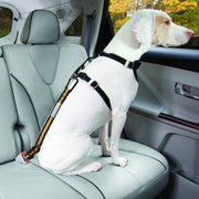 Attache voiture Tether