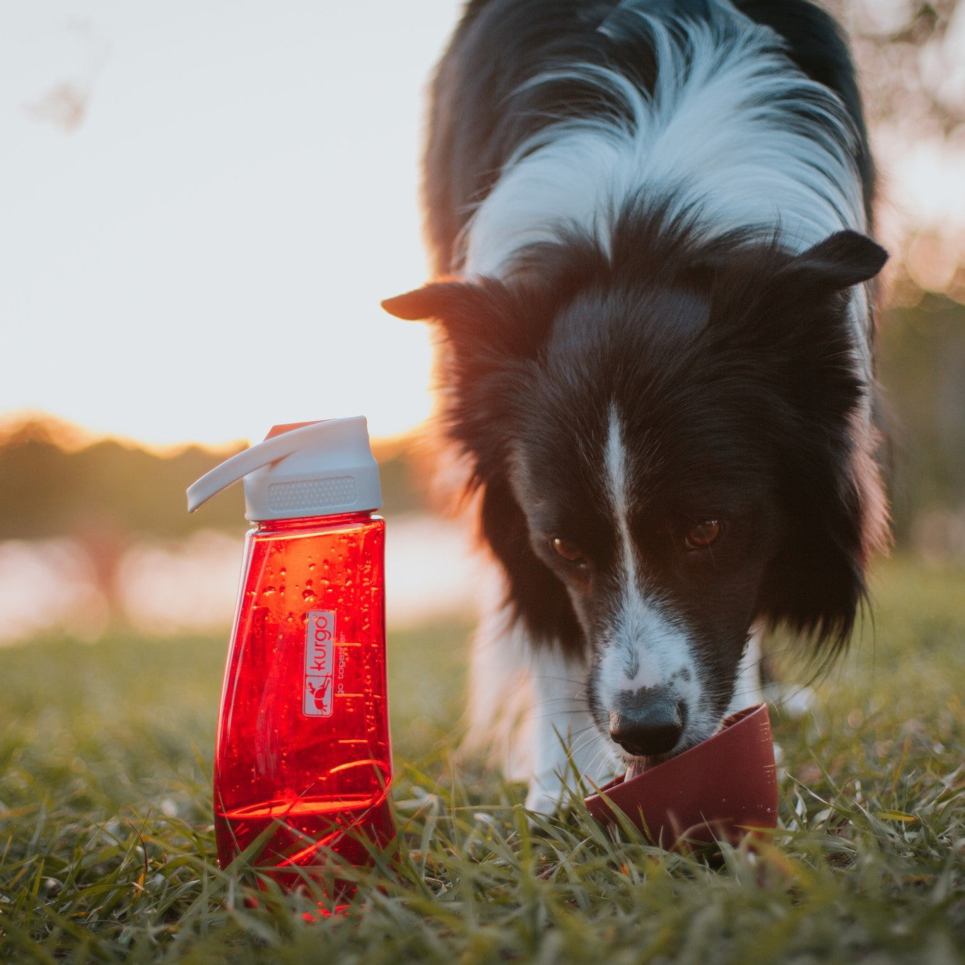 Gourde Bottle & Bowl