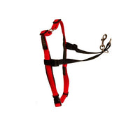 Harnais de poitrail HALTI