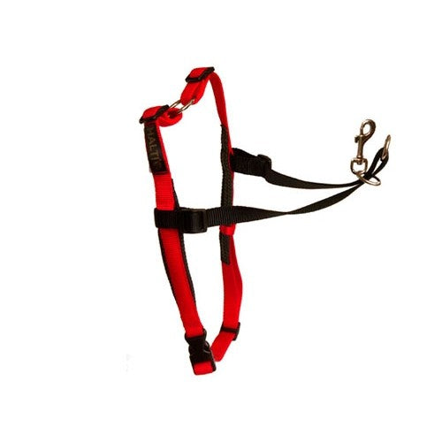 Harnais de poitrail HALTI