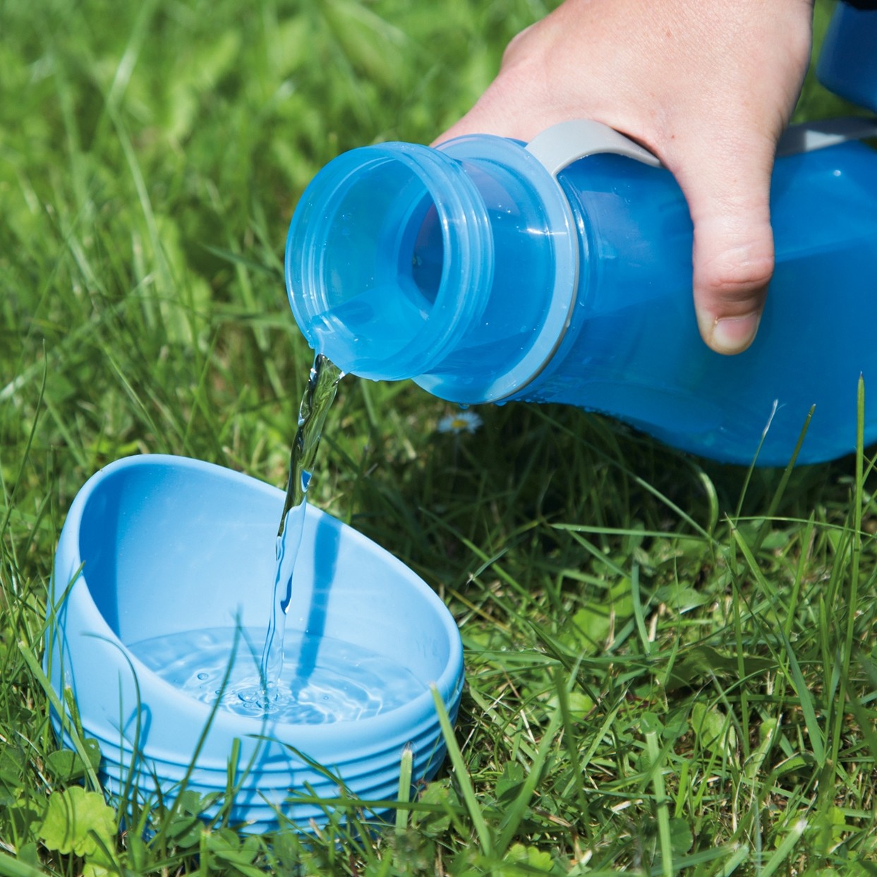 Gourde de voyage Aventura