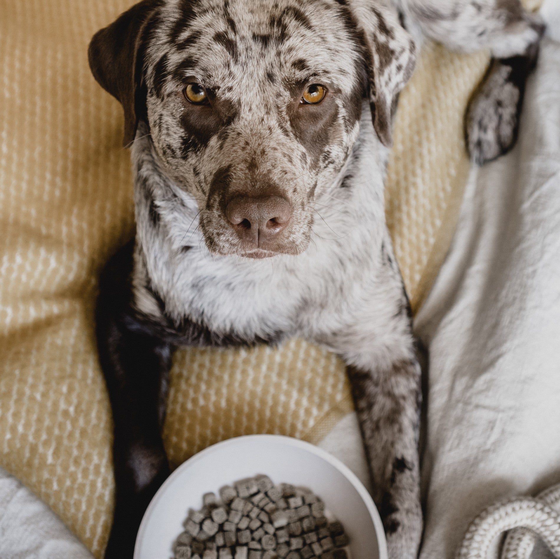 Gamelle Bamboo – Beige